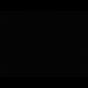 Meet your Posher, Josie